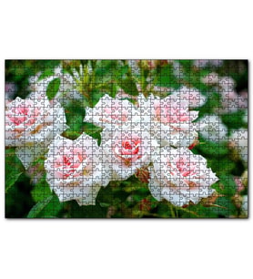 Cakapuzzle Beyaz Çalı Gülleri Görseli  Puzzle Yapboz MDF (Ahşap) (1000 Parça)