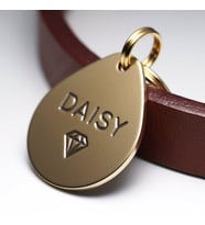 Fotoğraf Baskılı Tasma Ucu (Aly) (Gold)