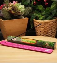 Tropical Orman Kokulu Tütsü ve Tütsü Kayığı (20 Çubuk) (Pembe)