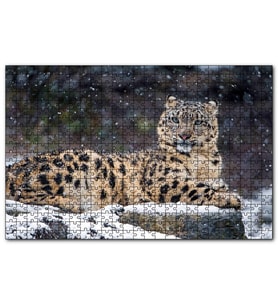 Cakapuzzle Dişi Kar Leoparı  Puzzle Yapboz MDF (Ahşap) (255 Parça)