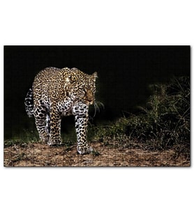 Cakapuzzle Karanlıktaki Java Leoparı  Puzzle Yapboz MDF (Ahşap) (500 Parça)