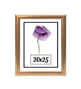 20x25 Fotoğraf Çerçevesi Modern Ofis Sanat Ev Home Ofis Dekoratif Çerçeveler Ev Oturma Odası Salon Dekorasyon Resim Çerçeveleri Diploma Belge Sertifika Çerçeveleri (Altın)