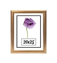 20x25 Fotoğraf Çerçevesi Modern Ofis Sanat Ev Home Ofis Dekoratif Çerçeveler Ev Oturma Odası Salon Dekorasyon Resim Çerçeveleri Diploma Belge Sertifika Çerçeveleri (Altın)