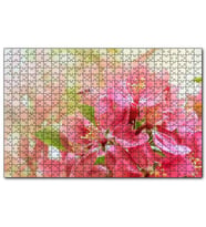 Cakapuzzle Pembe Elma Çiçeği Görseli  Puzzle Yapboz MDF (Ahşap) (255 Parça)