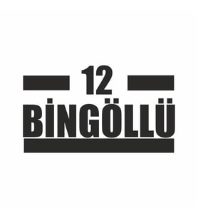 12 Bingöllü Araba Sticker siyah 16x9 CM (Siyah)