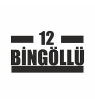 12 Bingöllü Araba Sticker siyah 16x9 CM (Siyah)