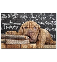 Cakapuzzle Kitapları Dişleyen Kahverengi Sharpy Yavrusu  Puzzle Yapboz MDF (Ahşap) (1000 Parça)