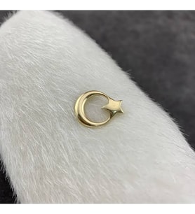 Ay Yıldız Model 925 Ayar Gümüş Erkek Yaka İğnesi Özel Gün Hediyesi (Gold)