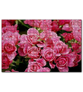 Cakapuzzle Pembe Güller  Puzzle Yapboz MDF (Ahşap) (255 Parça)