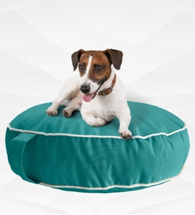 XPERMATE Fermuarlı Kedi Köpek Minderi Yıkanabilir Kedi Minderi Yuvarlak Kedi Yatağı ve Köpek Yatağı Su itici Kumaş 60x15 cm Pembe (Turkuaz)