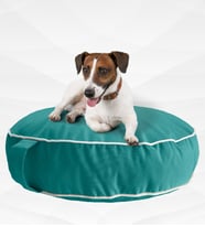 XPERMATE Fermuarlı Kedi Köpek Minderi Yıkanabilir Kedi Minderi Yuvarlak Kedi Yatağı ve Köpek Yatağı Su itici Kumaş 60x15 cm Pembe (Turkuaz)