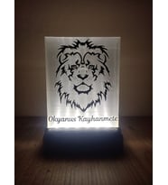 Kişiye Özel İsimli Aslan Siluet Kabartmalı Dekoratif Led Lamba Kablolu Adaptörlü Geri Dönüşüm PET (03)