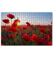 Cakapuzzle Gündoğumu Çayırda Kırmızı Gelincikler  Puzzle Yapboz MDF (Ahşap) (500 Parça)