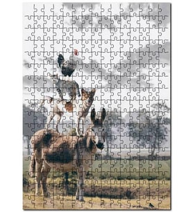 Cakapuzzle Bremen Mızıkacıları ve Bulutlu Gökler Puzzle Yapboz MDF (Ahşap) (1000 Parça)