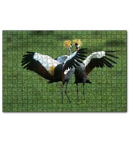 Cakapuzzle Çayırda Dans Eden Turnalar  Puzzle Yapboz MDF (Ahşap) (1000 Parça)