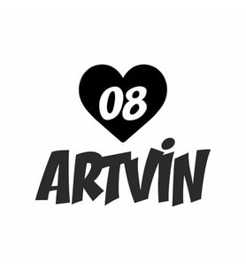 Kalpli 08 Artvin Araba Sticker siyah 20x15 CM (Siyah)