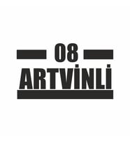 08 Artvinli Araba Sticker siyah 16x9 CM (Siyah)