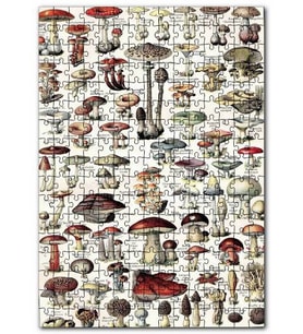 Cakapuzzle Mantar Türleri Botanik Şema Puzzle Yapboz MDF (Ahşap) (1000 Parça)