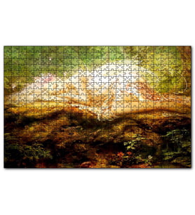 Cakapuzzle Orman Zemininde Yatan Sarı Saçlı Melek  Puzzle Yapboz MDF (Ahşap) (1000 Parça)