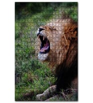 Cakapuzzle Esneyen Erkek Aslan Puzzle Yapboz MDF (Ahşap) (500 Parça)