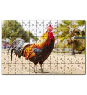 Cakapuzzle Heybetli Horoz Flu Çiftlik Arkaplan Puzzle Yapboz MDF (Ahşap) (1000 Parça)