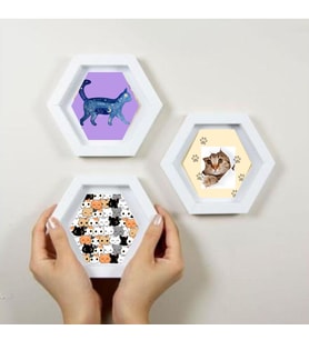 Kedi Tasarımlı 3 lü Altıgen Çerçeve (Beyaz)