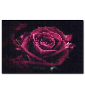 Cakapuzzle Kırmızı Kadife Gül Yakın Çekim Görsel Puzzle Yapboz MDF (Ahşap) (255 Parça)