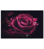 Cakapuzzle Kırmızı Kadife Gül Yakın Çekim Görsel Puzzle Yapboz MDF (Ahşap) (255 Parça)