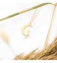 Kedili Ay Gümüş Kolye - Renk: Gold (Gümüş)