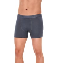 Yıldız Erkek Modal Likralı Boxer 37/42 - 12 Adet (Füme)