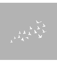 Kuşlar Araba Sticker siyah 18x11 CM (Beyaz)
