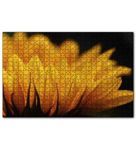 Cakapuzzle Günebakan Çiçeği Makro Çekim  Puzzle Yapboz MDF (Ahşap) (1000 Parça)