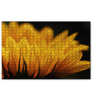 Cakapuzzle Günebakan Çiçeği Makro Çekim  Puzzle Yapboz MDF (Ahşap) (1000 Parça)