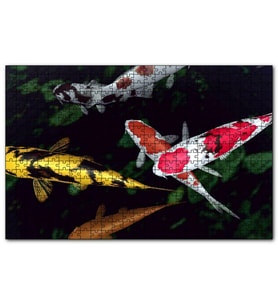 Cakapuzzle Koi Balıkları Yukarıdan Görünüm  Puzzle Yapboz MDF (Ahşap) (500 Parça)