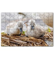 Cakapuzzle Anne Altında İki Sevimli Kuğu Yavrusu Puzzle Yapboz MDF (Ahşap) (1000 Parça)