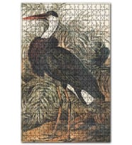 Cakapuzzle Yapraklar Önündeki Turna Kuşu Puzzle Yapboz MDF (Ahşap) (500 Parça)