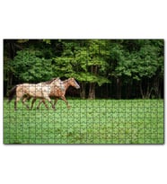 Cakapuzzle Orman Yeşil Çayırlar ve Bir Çift At  Puzzle Yapboz MDF (Ahşap) (500 Parça)