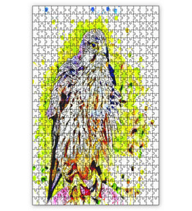 Cakapuzzle Suluboya Şahin Puzzle Yapboz MDF (Ahşap) (500 Parça)