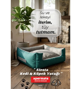 Kedi Yatağı ve Köpek Yatağı 55x60x23 Fermuarlı Evcil Hayvan Yatağı Yuvi Siesta (Turkuaz)