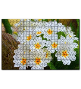Cakapuzzle Bayaz Çuha Çiçeği Görseli  Puzzle Yapboz MDF (Ahşap) (255 Parça)