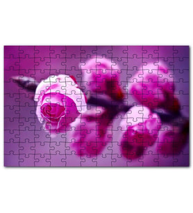 Cakapuzzle Pembe Gül Dalı Görseli Puzzle Yapboz MDF (Ahşap) (1000 Parça)
