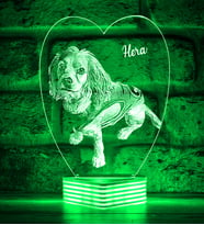 Evcil Hayvan Kedi Köpek Sahiplerine Hediye Kişiye Özel 3D Lamba (Yeşil)