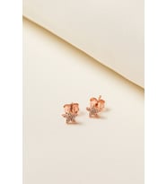 Elika Silver Kadın Minimal Yıldız Model 925 Ayar Gümüş Küpe (Rose)