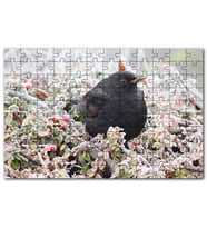 Cakapuzzle Donmuş Çalıların Arasındaki Karatavuk Puzzle Yapboz MDF (Ahşap) (500 Parça)