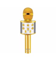 C-8501 Sihirli Bluetooth Karaoke Mikrofon Usb Kart Girişi Türkçe Seslendirmeli (Gold)