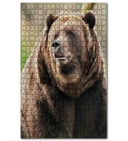 Cakapuzzle Büyük Boz Ayı Yakın Çekim Puzzle Yapboz MDF (Ahşap) (500 Parça)