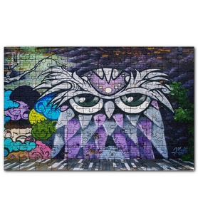 Cakapuzzle Grafiti Sokak Sanatı Baykuş Görseli Puzzle Yapboz MDF (Ahşap) (1000 Parça)