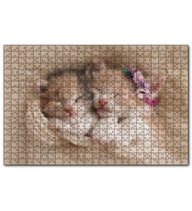 Cakapuzzle Birlikte Uyuyan Sevimli Yavru Kediler  Puzzle Yapboz MDF (Ahşap) (500 Parça)