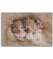Cakapuzzle Birlikte Uyuyan Sevimli Yavru Kediler  Puzzle Yapboz MDF (Ahşap) (500 Parça)