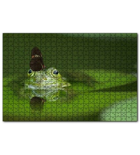 Cakapuzzle Göldeki Yeşil Kurbağa ve Üzerindeki Kelebek  Puzzle Yapboz MDF (Ahşap) (500 Parça)